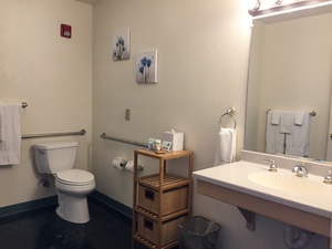 Accessibility King Suite Photo 2