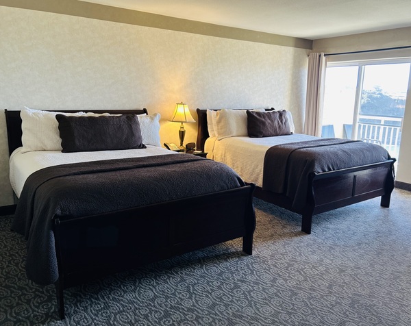 Dog Friendly Double Queen Suite Photo 1