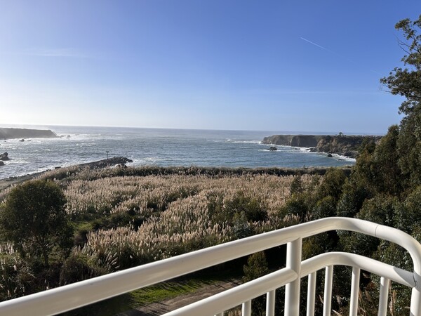 Top Floor King Suite Photo 3